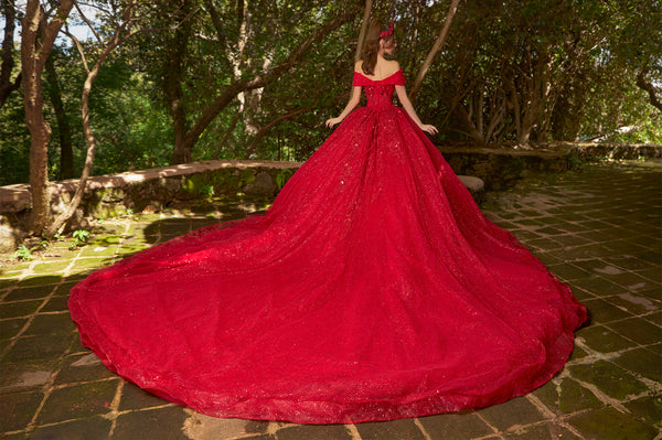 Shankara ENS8403 — vestido de XV años en Moroleón — Boutique Moroleón