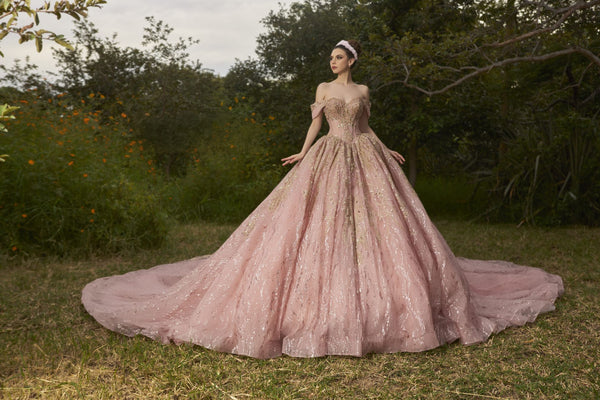 Shankara ENS8410 — vestido de XV años en Moroleón — Boutique Moroleón