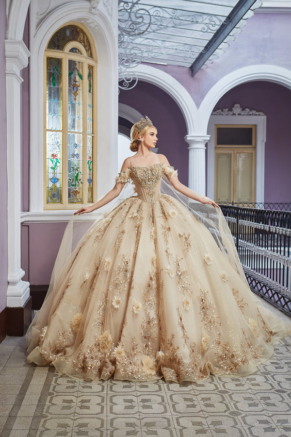Shankara FRN2026 — vestido de XV años en Moroleón — Boutique Moroleón